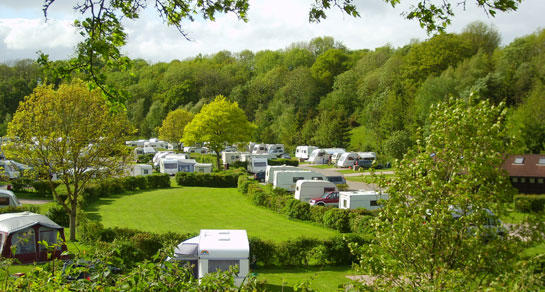Camping Dornafield