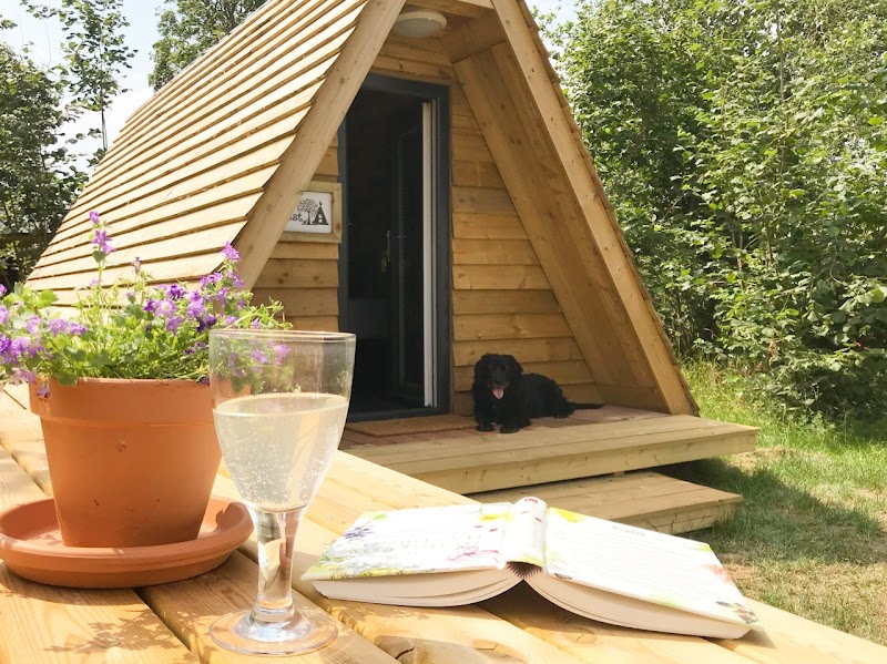 The Hen’s Dens at Orchard Organic Farm